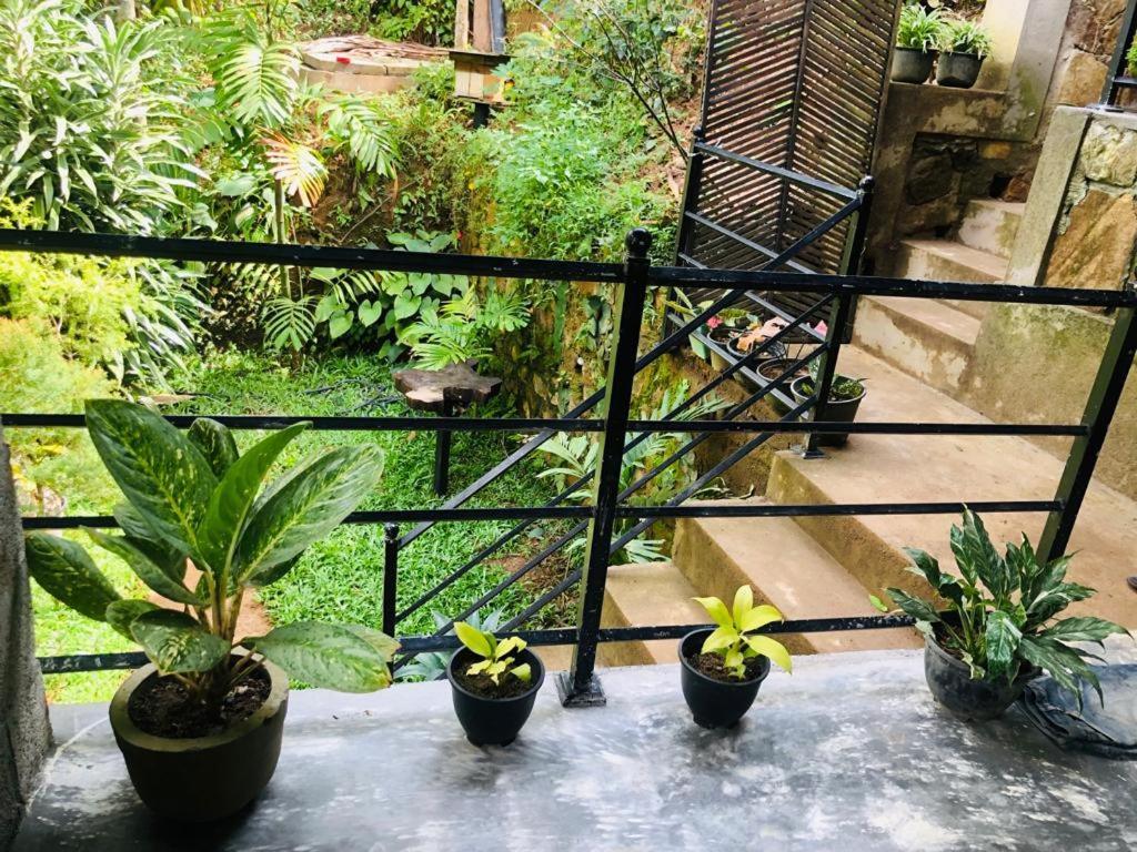 Sky Garden Ella Apartment Ngoại thất bức ảnh