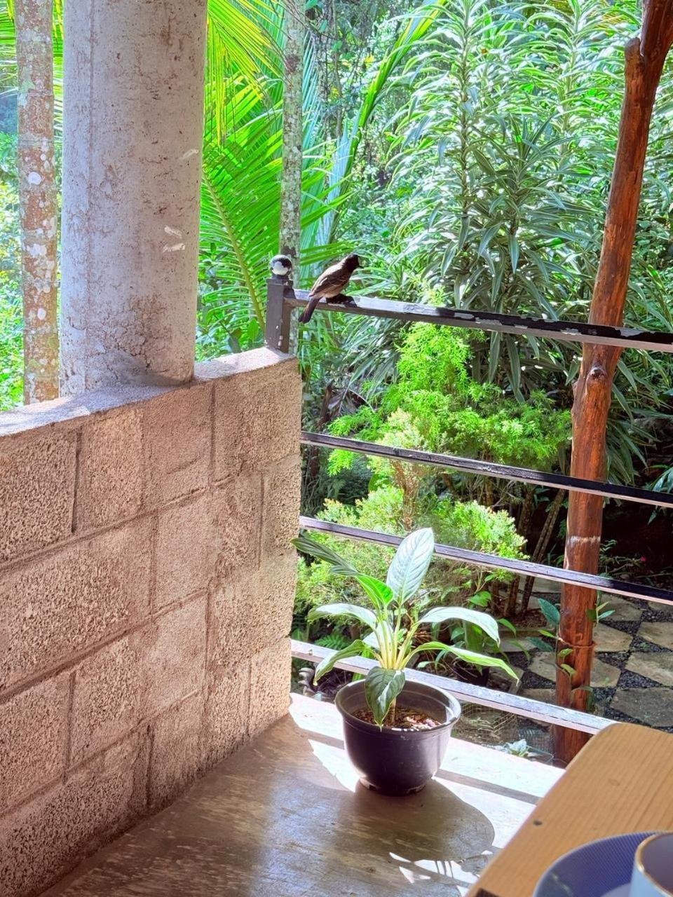 Sky Garden Ella Apartment Ngoại thất bức ảnh